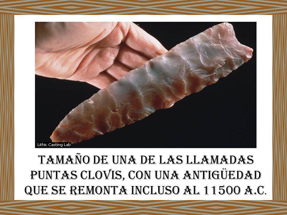 tamaño de una de las llamadas puntas Clovis, con una antigüedad que se remonta incluso al a.C.