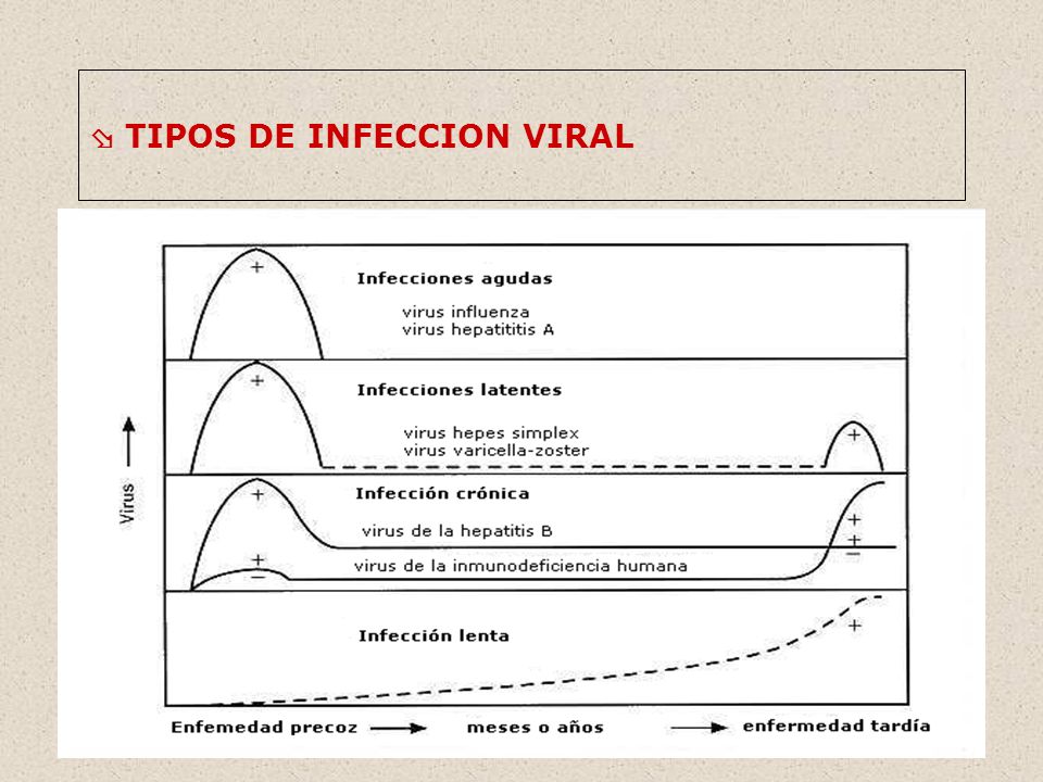  TIPOS DE INFECCION VIRAL