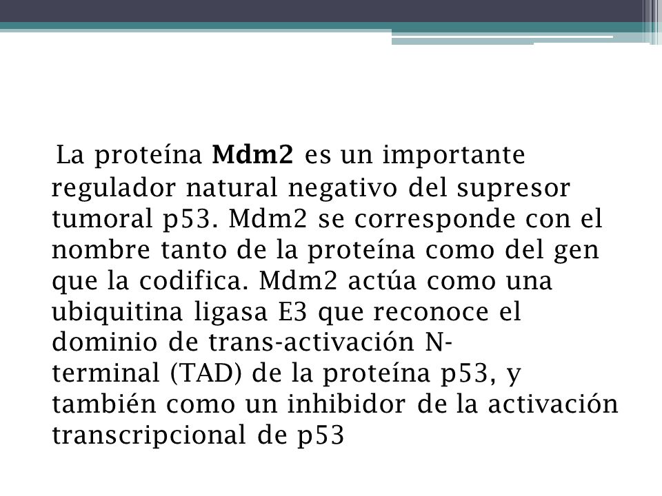 La proteína Mdm2 es un importante regulador natural negativo del supresor tumoral p53.