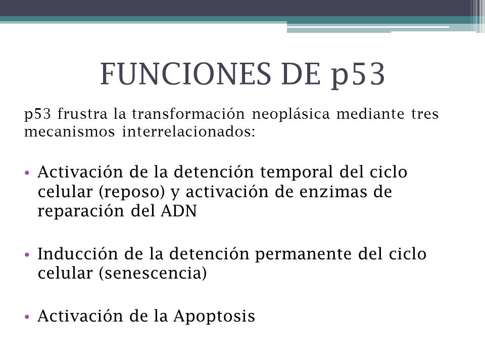 FUNCIONES DE p53 p53 frustra la transformación neoplásica mediante tres mecanismos interrelacionados:
