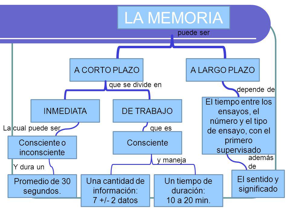 LA MEMORIA A CORTO PLAZO A LARGO PLAZO