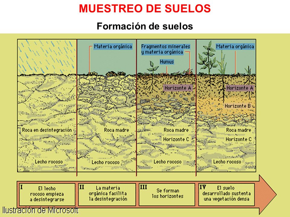 Ciencias de la Tierra II