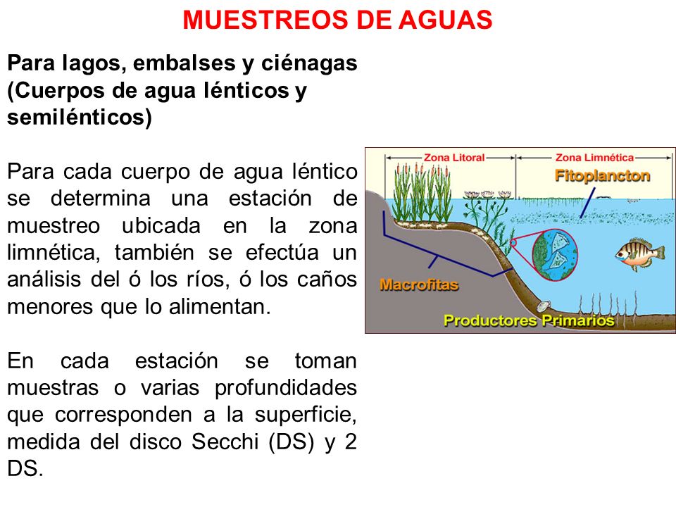 MUESTREOS DE AGUAS Para lagos, embalses y ciénagas (Cuerpos de agua lénticos y semilénticos)
