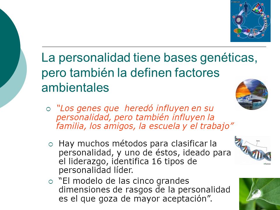 La personalidad tiene bases genéticas, pero también la definen factores ambientales