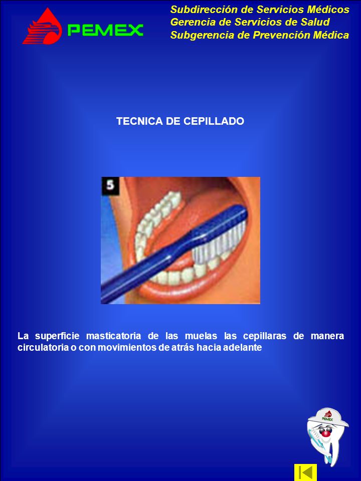 TECNICA DE CEPILLADO La superficie masticatoria de las muelas las cepillaras de manera circulatoria o con movimientos de atrás hacia adelante.