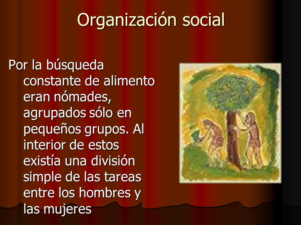 Organización social