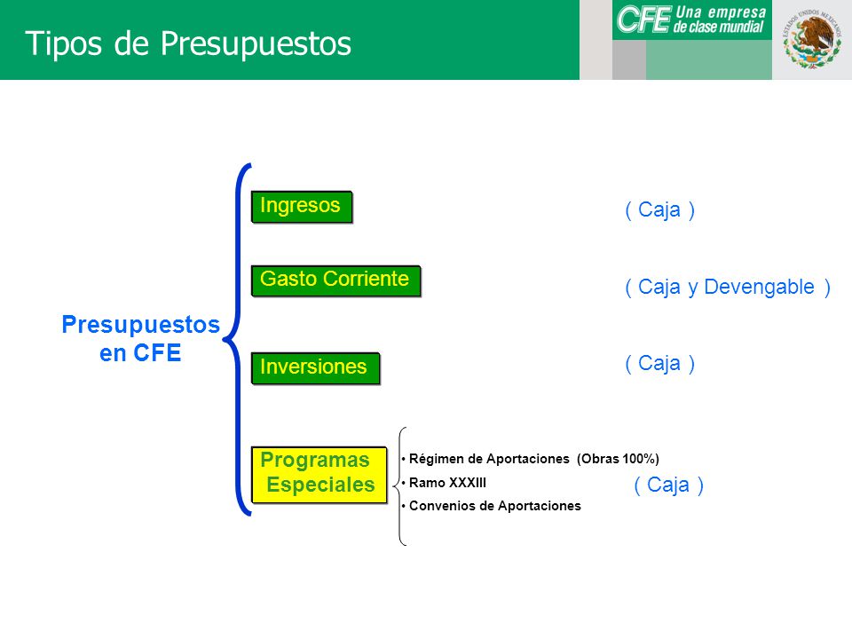 Tipos de Presupuestos Presupuestos en CFE Ingresos ( Caja )