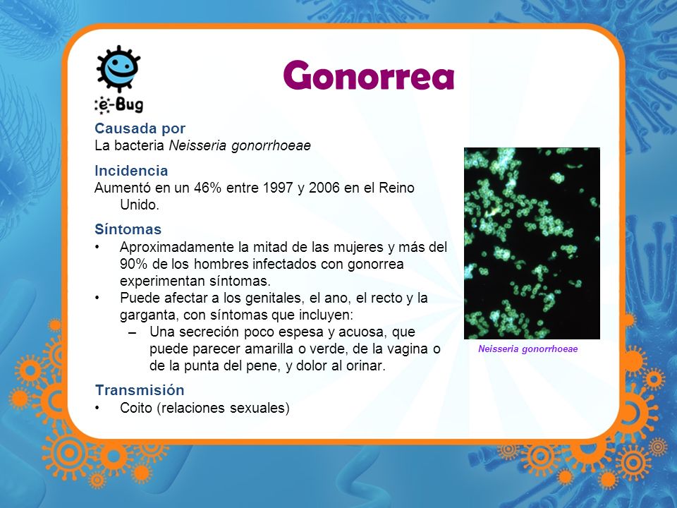 Neisseria gonorrhoeae