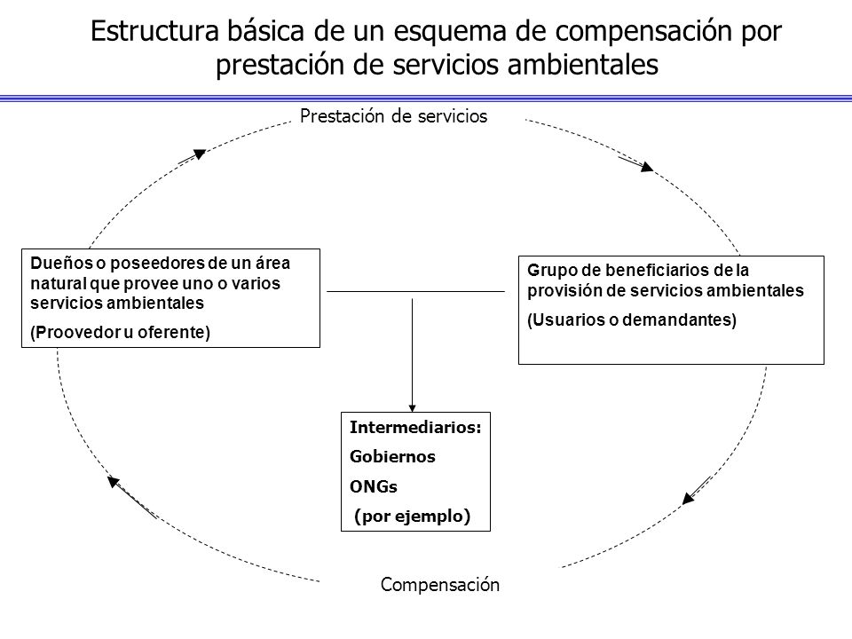 Estructura básica de un esquema de compensación por prestación de servicios ambientales