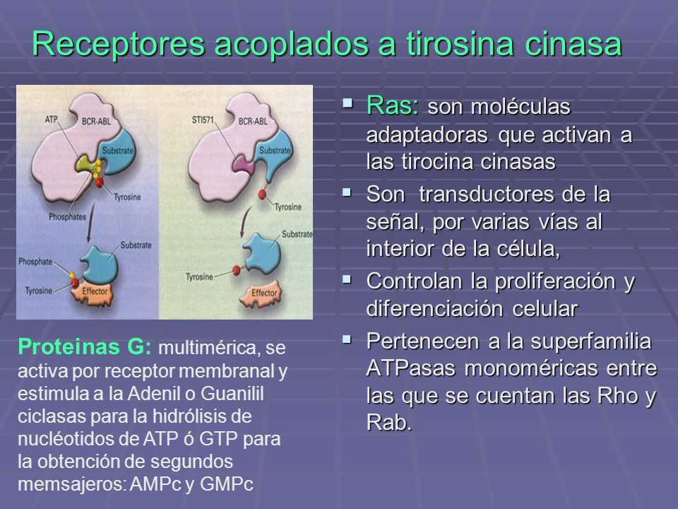Receptores acoplados a tirosina cinasa