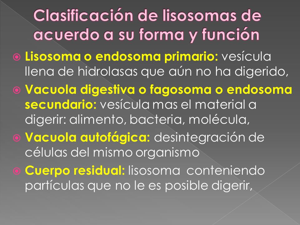 Clasificación de lisosomas de acuerdo a su forma y función