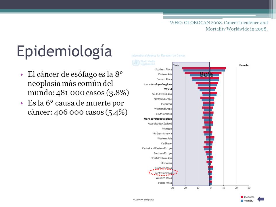 WHO: GLOBOCAN Cancer Incidence and Mortality Worldwide in 2008.