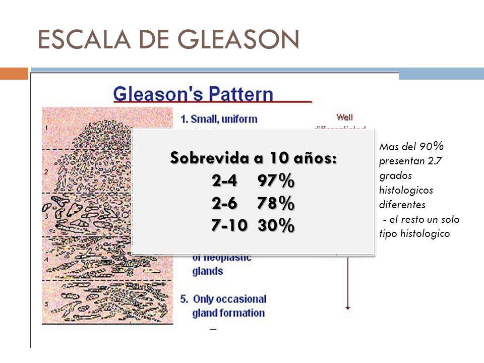 ESCALA DE GLEASON Sobrevida a 10 años: % % %