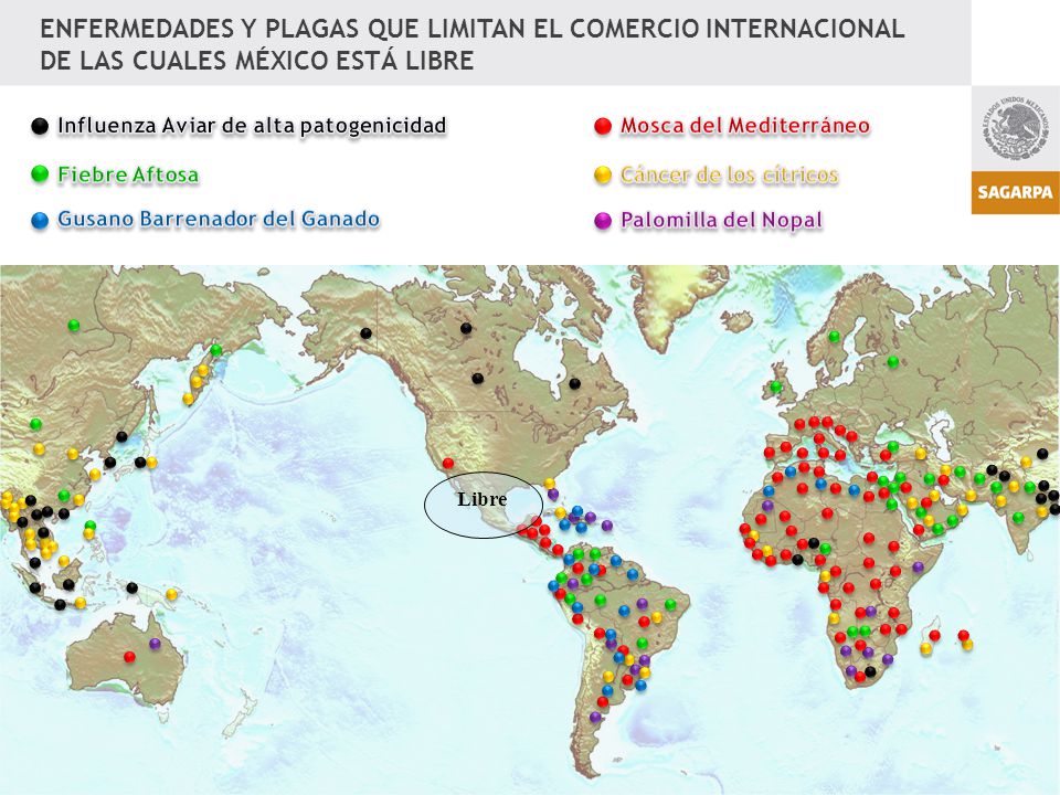ENFERMEDADES Y PLAGAS QUE LIMITAN EL COMERCIO INTERNACIONAL DE LAS CUALES MÉXICO ESTÁ LIBRE