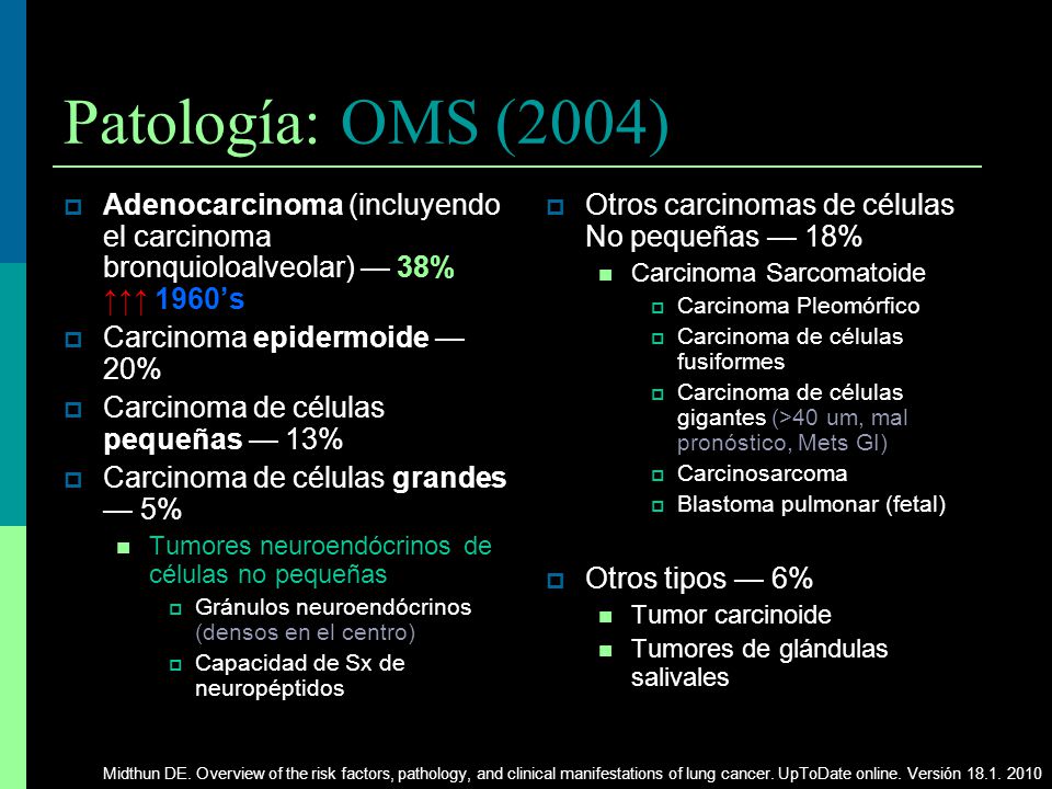 Patología: OMS (2004) Adenocarcinoma (incluyendo el carcinoma bronquioloalveolar) — 38% ↑↑↑ 1960’s.