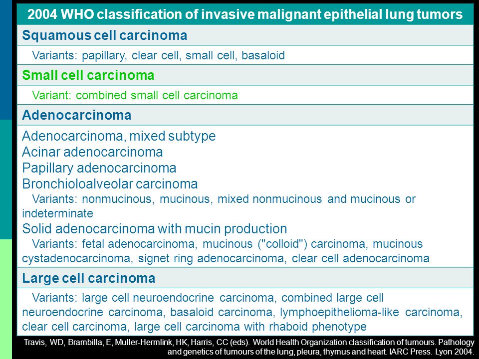 2004 WHO classification of invasive malignant epithelial lung tumors