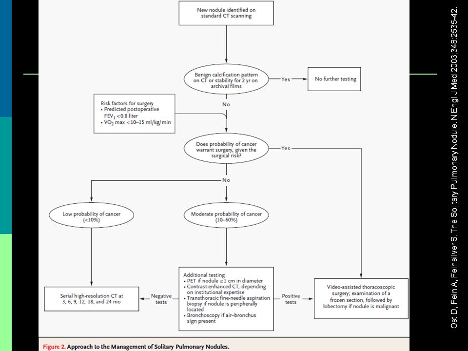 Ost D, Fein A, Feinsilver S. The Solitary Pulmonary Nodule