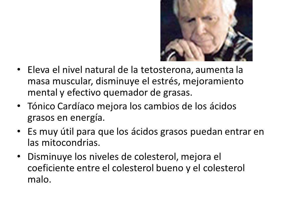 Eleva el nivel natural de la tetosterona, aumenta la masa muscular, disminuye el estrés, mejoramiento mental y efectivo quemador de grasas.