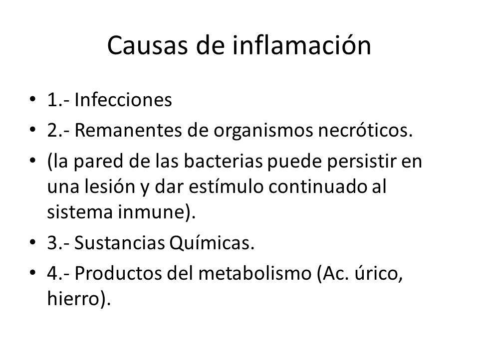 Causas de inflamación 1.- Infecciones