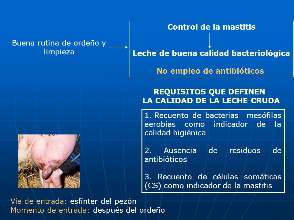 Leche de buena calidad bacteriológica No empleo de antibióticos