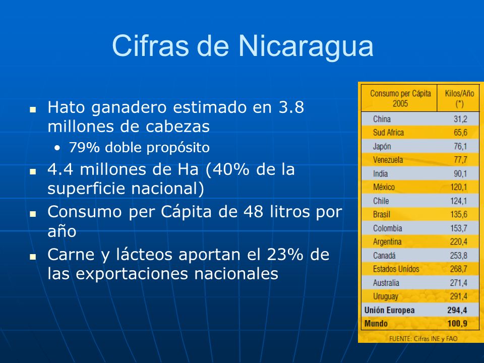 Cifras de Nicaragua Hato ganadero estimado en 3.8 millones de cabezas