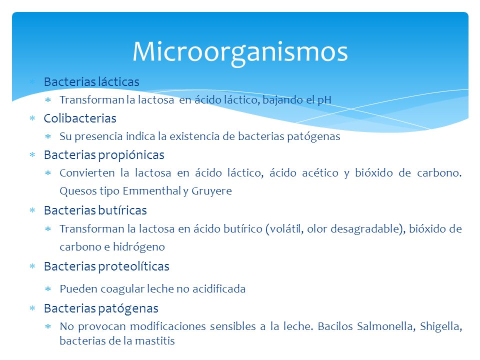 Microorganismos Bacterias lácticas Colibacterias Bacterias propiónicas