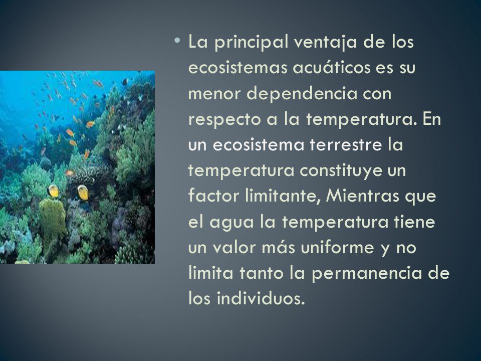 La principal ventaja de los ecosistemas acuáticos es su menor dependencia con respecto a la temperatura.