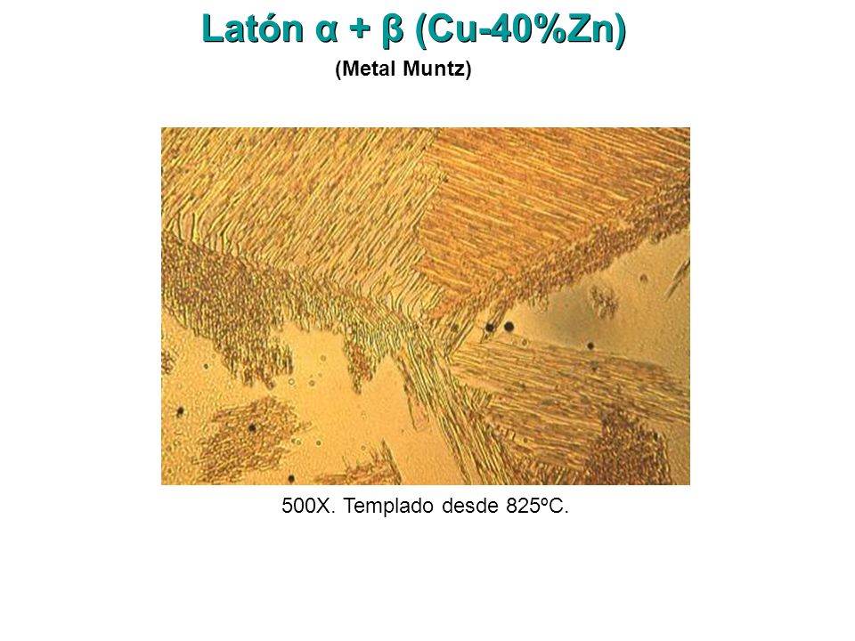 Latón α + β (Cu-40%Zn) (Metal Muntz) 500X. Templado desde 825ºC.