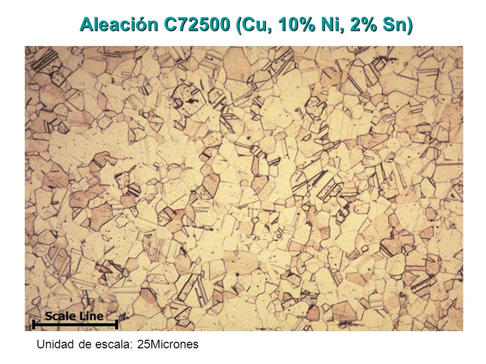 Aleación C72500 (Cu, 10% Ni, 2% Sn) Unidad de escala: 25Micrones