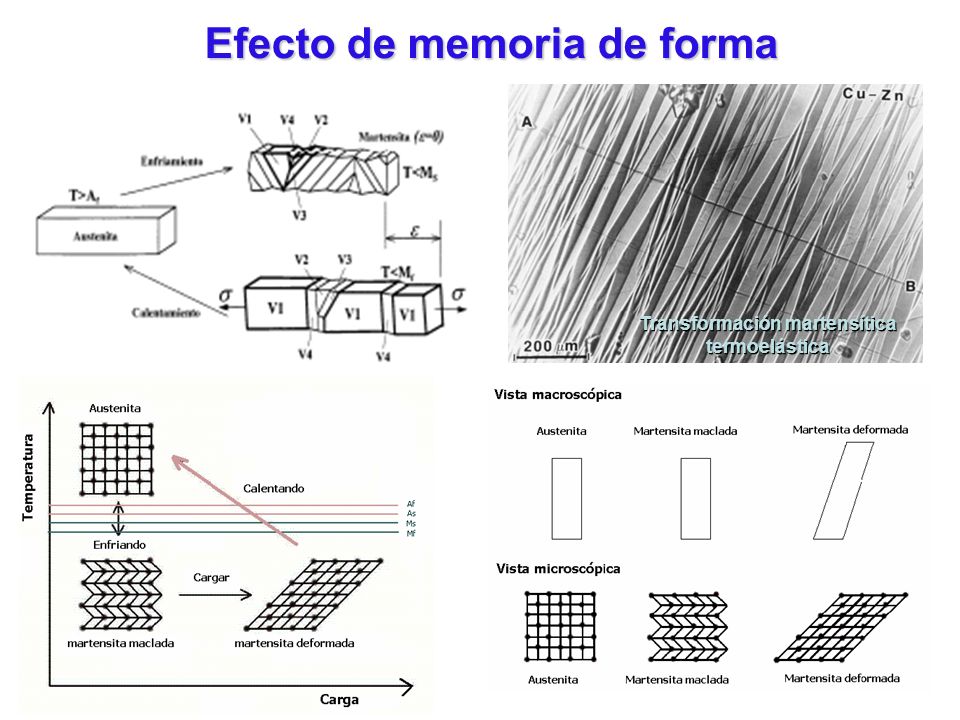 Efecto de memoria de forma Transformación martensítica termoelástica