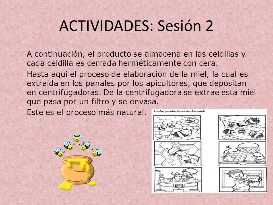 ACTIVIDADES: Sesión 2 A continuación, el producto se almacena en las celdillas y cada celdilla es cerrada herméticamente con cera.