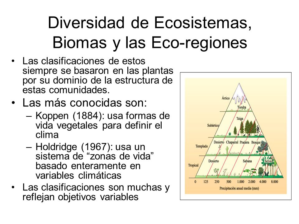 Diversidad de Ecosistemas, Biomas y las Eco-regiones
