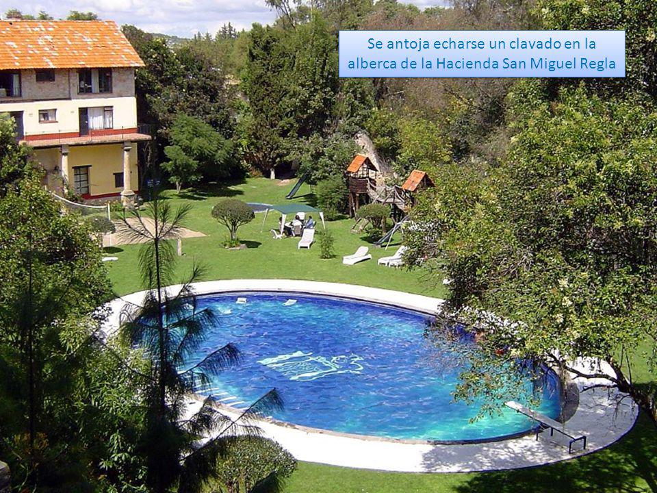 Se antoja echarse un clavado en la alberca de la Hacienda San Miguel Regla