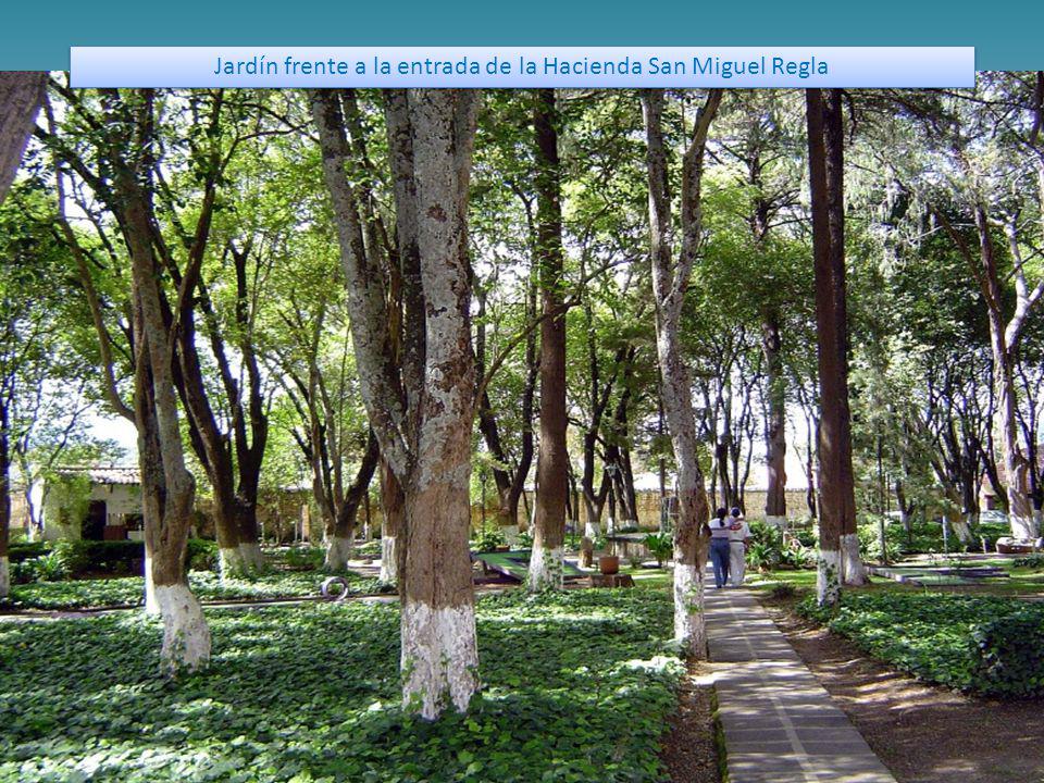 Jardín frente a la entrada de la Hacienda San Miguel Regla