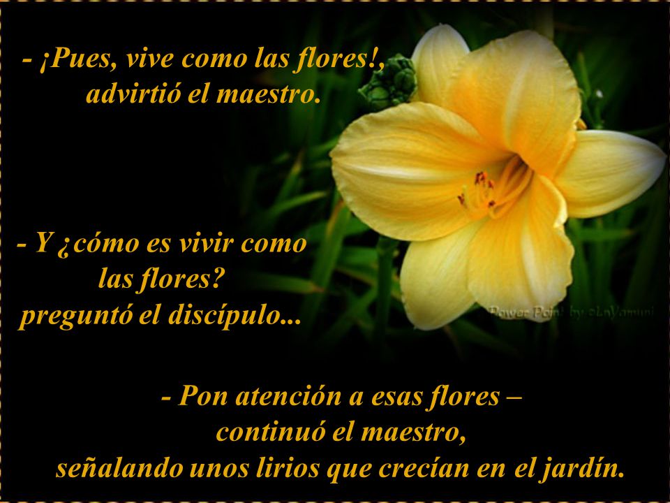 - ¡Pues, vive como las flores!, advirtió el maestro.