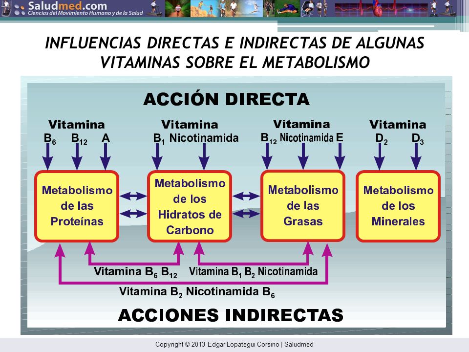 INFLUENCIAS DIRECTAS E INDIRECTAS DE ALGUNAS VITAMINAS SOBRE EL METABOLISMO