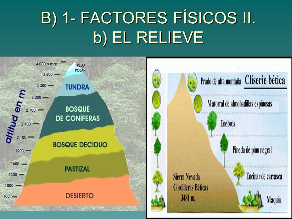 B) 1- FACTORES FÍSICOS II. b) EL RELIEVE