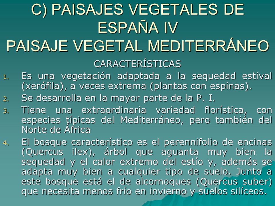 C) PAISAJES VEGETALES DE ESPAÑA IV PAISAJE VEGETAL MEDITERRÁNEO