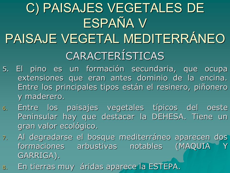 C) PAISAJES VEGETALES DE ESPAÑA V PAISAJE VEGETAL MEDITERRÁNEO