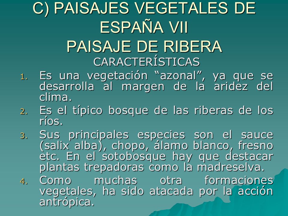 C) PAISAJES VEGETALES DE ESPAÑA VII PAISAJE DE RIBERA