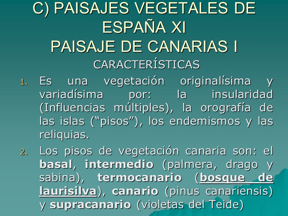 C) PAISAJES VEGETALES DE ESPAÑA XI PAISAJE DE CANARIAS I