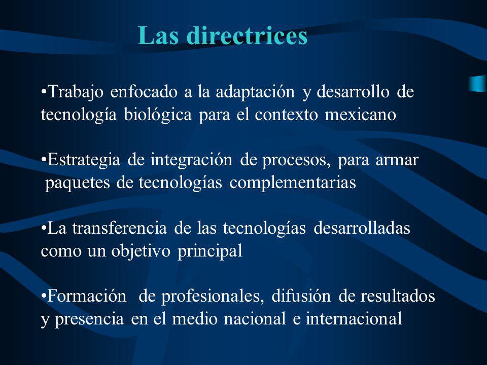 Las directrices Trabajo enfocado a la adaptación y desarrollo de