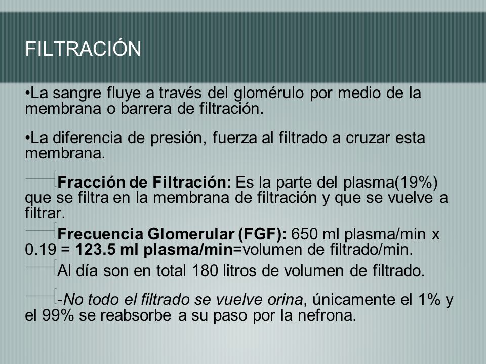FILTRACIÓN La sangre fluye a través del glomérulo por medio de la membrana o barrera de filtración.