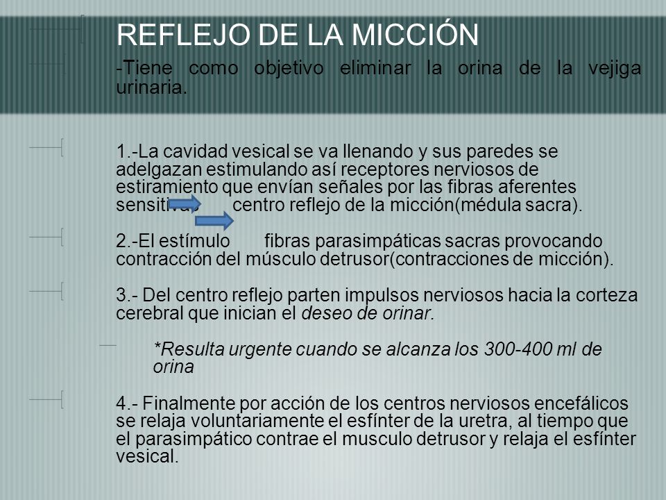 REFLEJO DE LA MICCIÓN -Tiene como objetivo eliminar la orina de la vejiga urinaria.