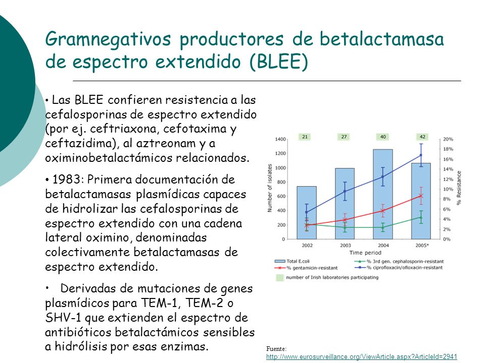 Gramnegativos productores de betalactamasa de espectro extendido (BLEE)
