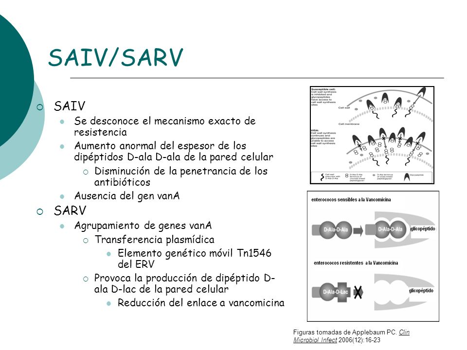 SAIV/SARV SAIV SARV Se desconoce el mecanismo exacto de resistencia