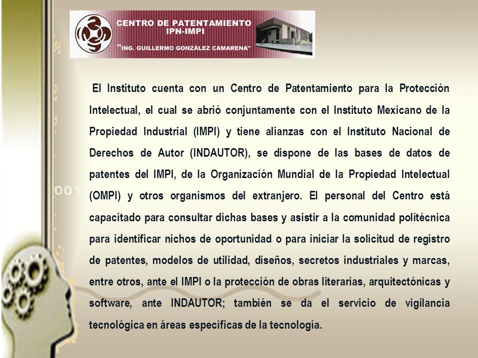 El Instituto cuenta con un Centro de Patentamiento para la Protección Intelectual, el cual se abrió conjuntamente con el Instituto Mexicano de la Propiedad Industrial (IMPI) y tiene alianzas con el Instituto Nacional de Derechos de Autor (INDAUTOR), se dispone de las bases de datos de patentes del IMPI, de la Organización Mundial de la Propiedad Intelectual (OMPI) y otros organismos del extranjero.