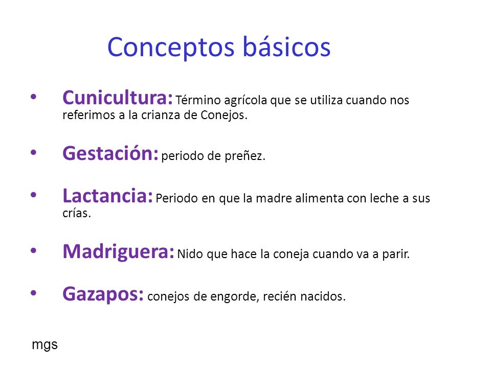 Conceptos básicos Cunicultura: Término agrícola que se utiliza cuando nos referimos a la crianza de Conejos.