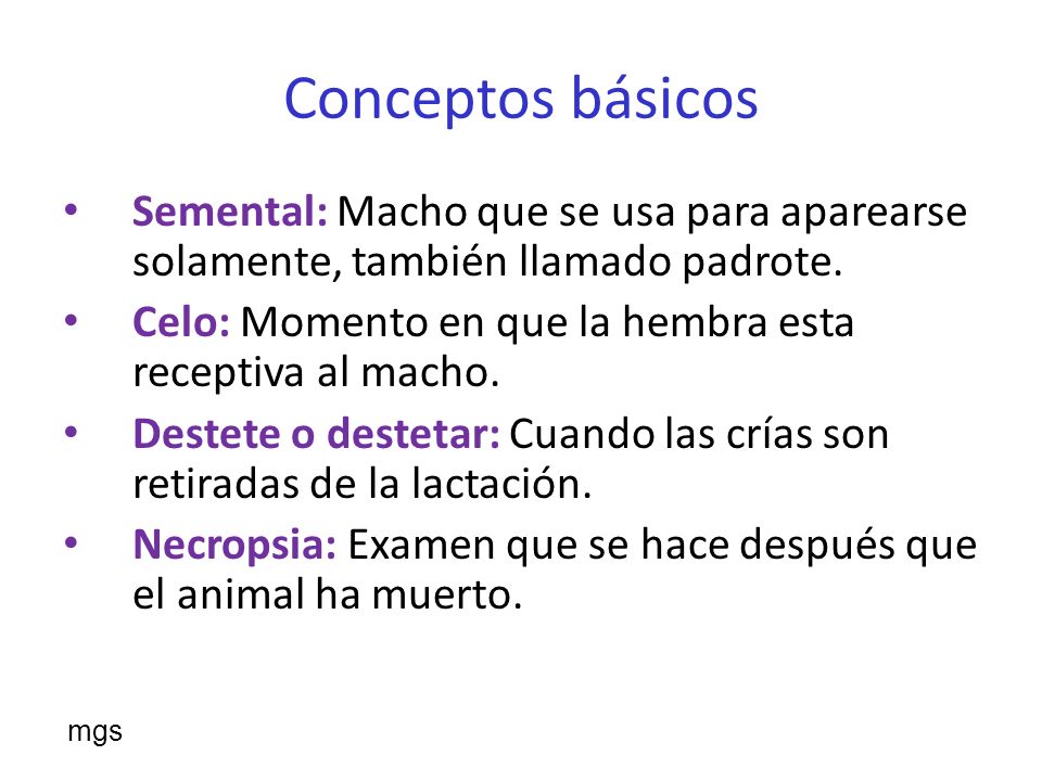 Conceptos básicos Semental: Macho que se usa para aparearse solamente, también llamado padrote.