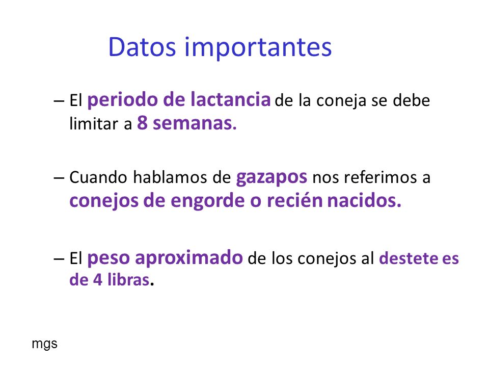 Datos importantes El periodo de lactancia de la coneja se debe limitar a 8 semanas.